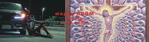 спайс Няндома