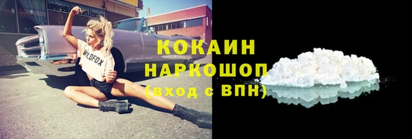 спайс Няндома