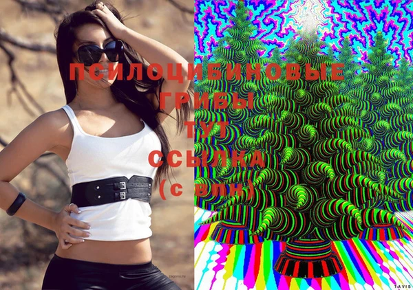 первитин Нязепетровск