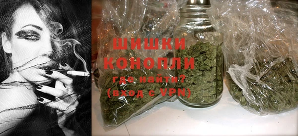 спайс Няндома