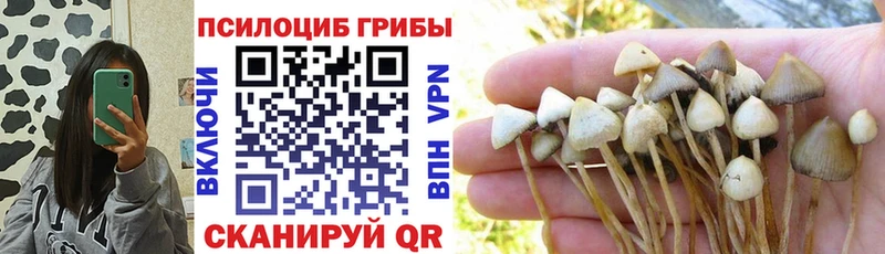 Псилоцибиновые грибы прущие грибы  даркнет сайт  Усть-Лабинск 