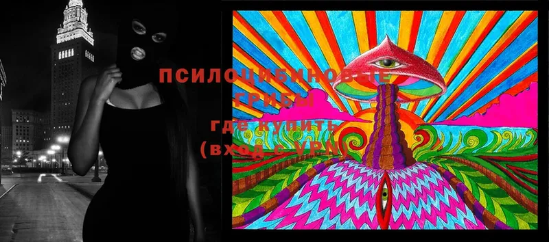 где найти   Усть-Лабинск  Псилоцибиновые грибы MAGIC MUSHROOMS 