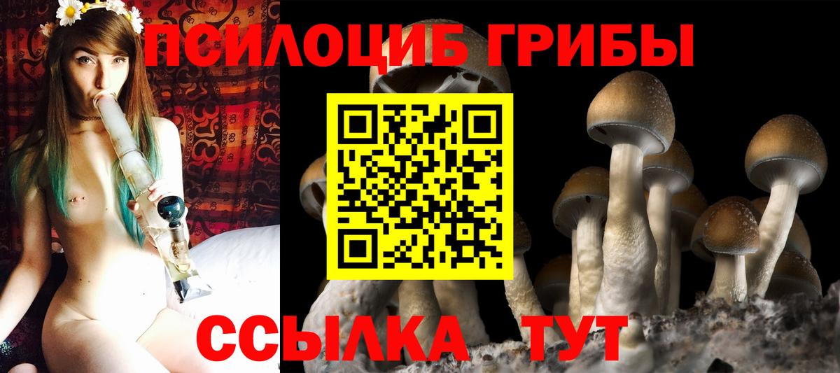 Усть-Лабинск  Галлюциногенные грибы Psilocybine cubensis  Вход с VPN  Псилоцибиновые грибы GOLDEN TEACHER 